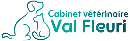 Cabinet Vétérinaire Val Fleuri